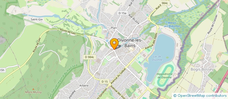localisation de l'entreprise EVOLVING à DIVONNE-LES-BAINS