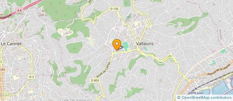 localisation de l'entreprise EXPERT DIFFUSION  VALLAURIS