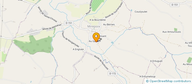 localisation de l'entreprise EXPERT NUISIBLES 3D 32  MIREPOIX