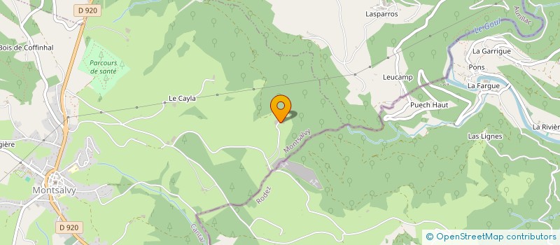 localisation de l'entreprise EXPLOITATION AGRICOLE A RESPONSABILITE LIMITEE DE RIOLS à MONTSALVY