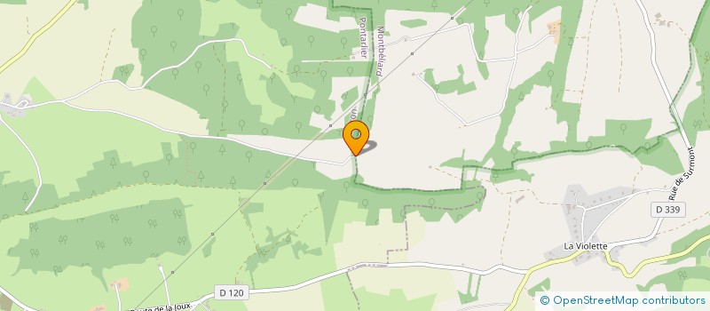 localisation de l'entreprise EXPLOITATION AGRICOLE A RESPONSABILITE LIMITEE RECONNU BARBIER DU MORTEY à LAVIRON