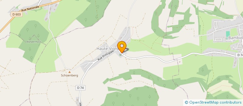 localisation de l'entreprise EXPLOITATION AGRICOLE UNIPERSONNELLE A RESPONSABILITE LIMITEE DU ROND BOIS  HEMILLY