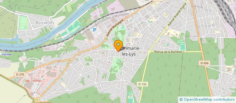 localisation de l'entreprise EXPRESS COUPE à DAMMARIE-LES-LYS