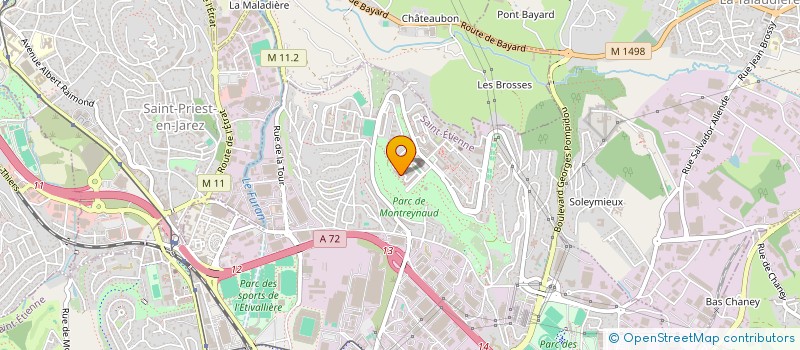 localisation de l'entreprise EXPRESS LIVRAISON  SAINT-ETIENNE