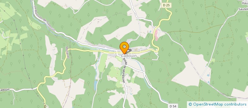 localisation de l'entreprise EXPRESSION ARTISTIQUE ET CULTURELLE  LE BUISSON-DE-CADOUIN