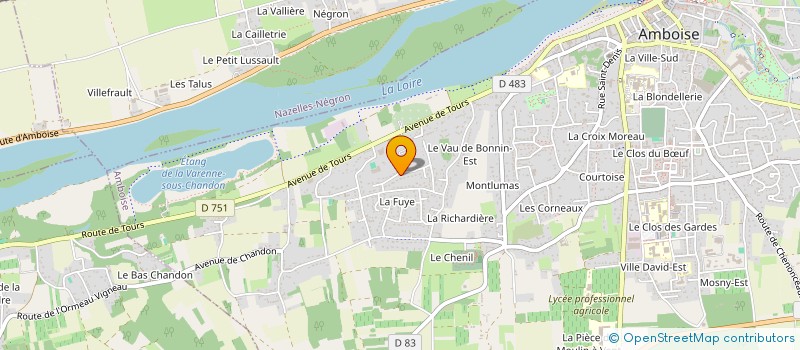 localisation de l'entreprise EXTRA MILE TRANSITION  AMBOISE