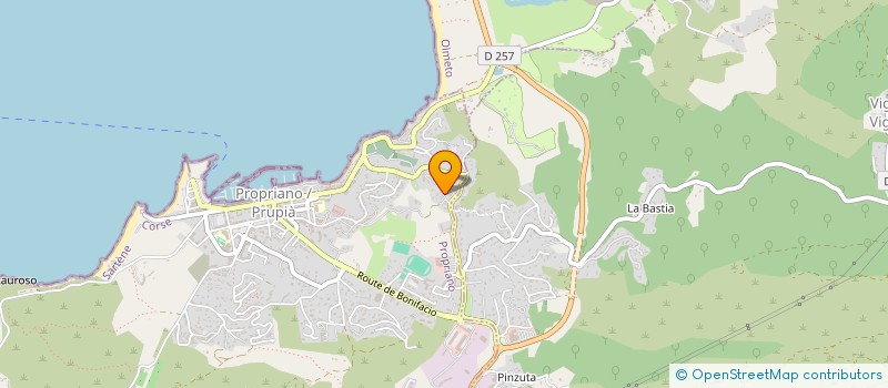 localisation de l'entreprise F.C.T.E VALINCU TRADING  PROPRIANO