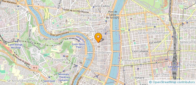 localisation de l'entreprise F F AVENIR à LYON