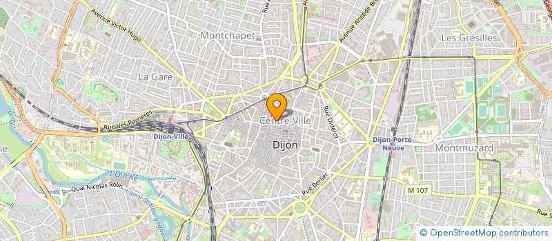 localisation de l'entreprise F L S  DIJON