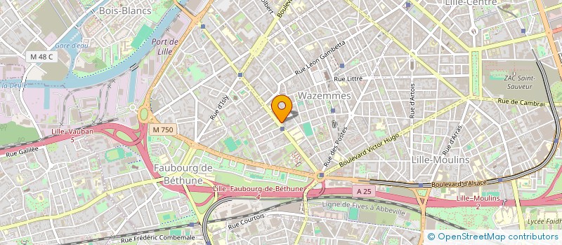 localisation de l'entreprise F.L.X à LILLE