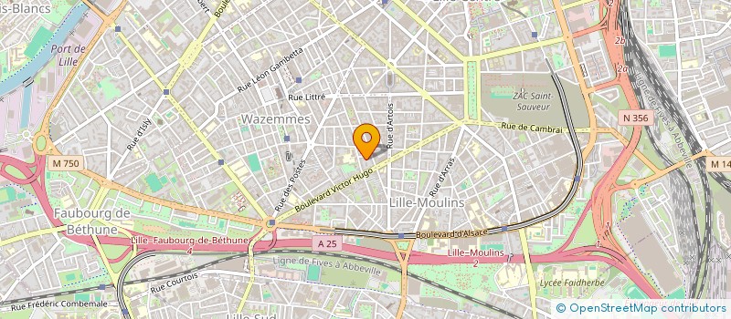 localisation de l'entreprise F SMITS à LILLE