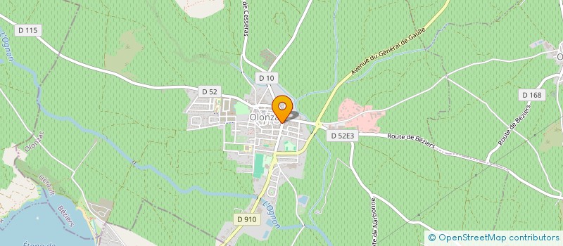 localisation de l'entreprise FABRICE RAYNAUD  OLONZAC