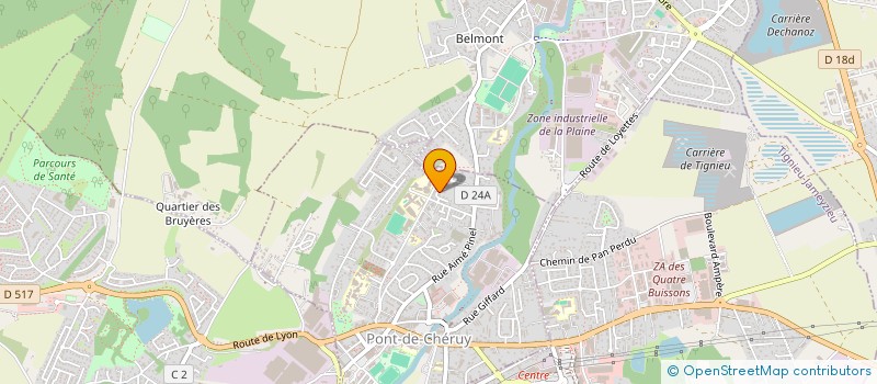 localisation de l'entreprise FACE TO FACE 38 PRO  PONT-DE-CHERUY