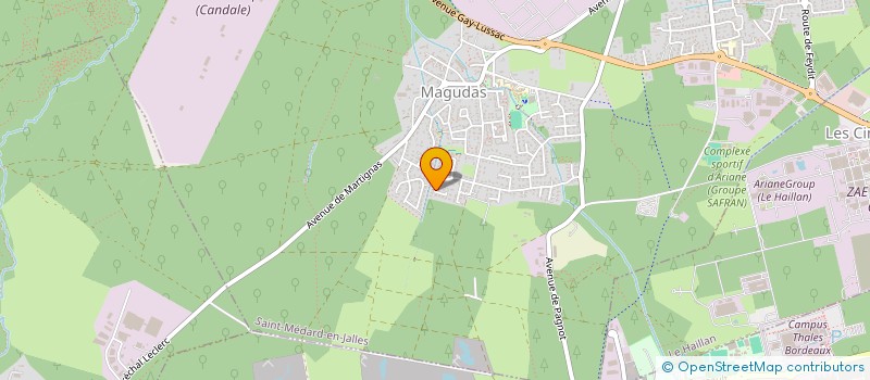 localisation de l'entreprise FAIRE KIFFER LES ANGES PRODUCTIONS  SAINT-MEDARD-EN-JALLES