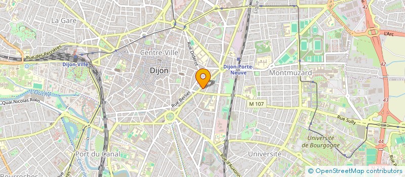 localisation de l'entreprise FAISONS VIVRE NOTRE PLACE WILSON  DIJON