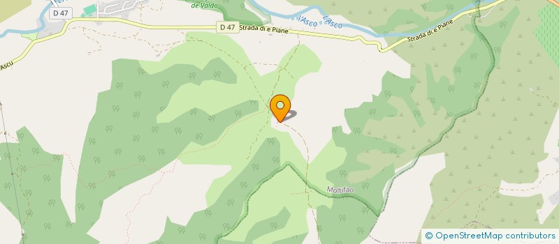 localisation de l'entreprise FALCONETTI à MOLTIFAO