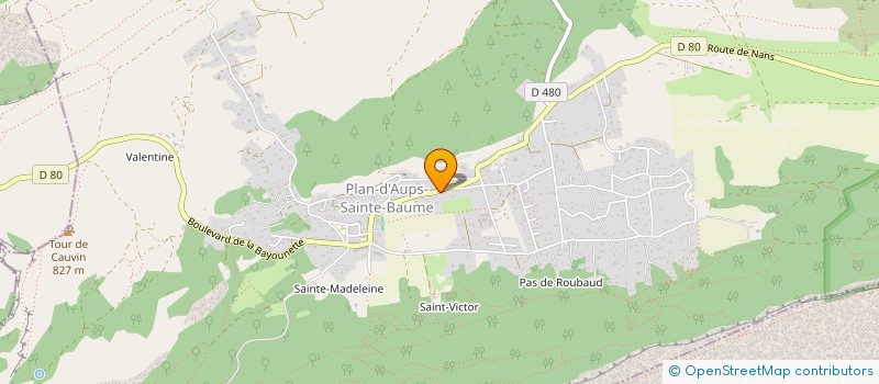 localisation de l'entreprise FAME à PLAN-D'AUPS-SAINTE-BAUME