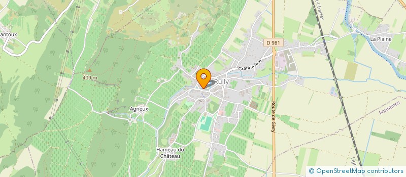 localisation de l'entreprise FAMILLE ALEXANDRE  REMIGNY