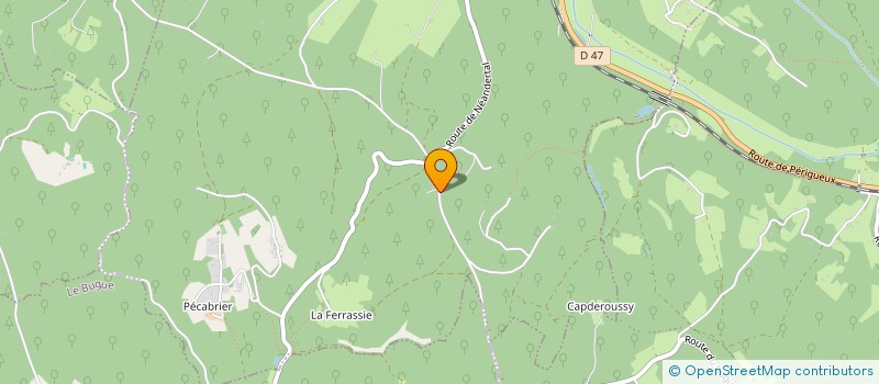 localisation de l'entreprise FAMILLE MICKEY BOIS  SAVIGNAC-DE-MIREMONT