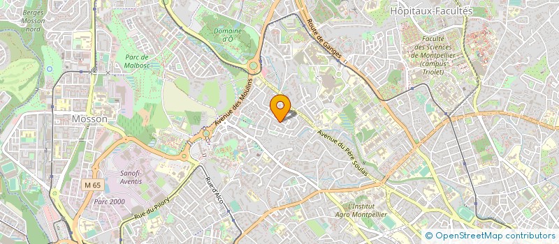 localisation de l'entreprise FAMILLE NURI à MONTPELLIER