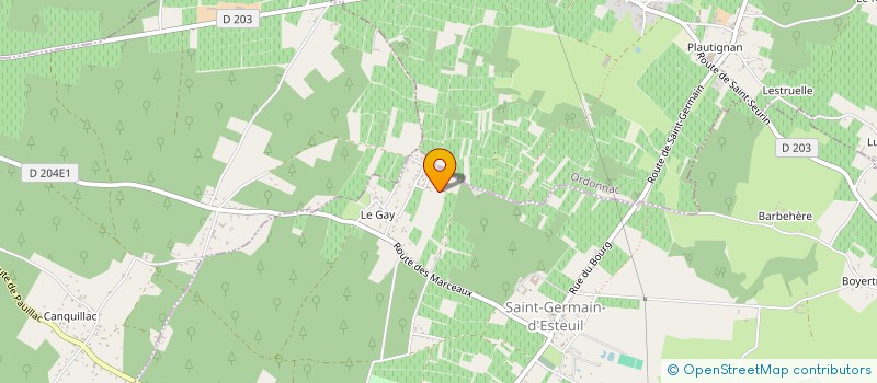 localisation de l'entreprise FAMILLE PUYSSEGUR  SAINT-GERMAIN-D'ESTEUIL