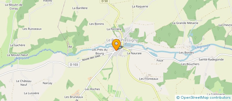 localisation de l'entreprise FAMILLES RURALES LES MINOS  LE PETIT-PRESSIGNY