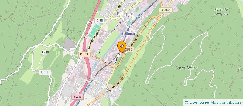 localisation de l'entreprise FAMOS INVEST  BELLIGNAT