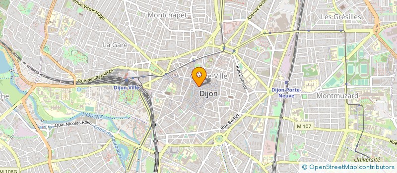 localisation de l'entreprise FANFRELUCHES ET GALIPETTES  DIJON