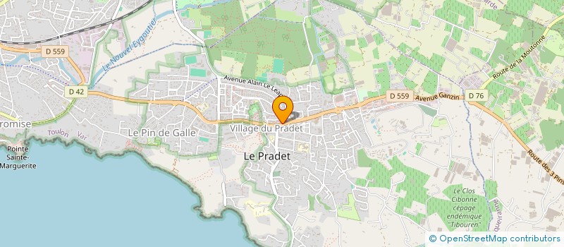 localisation de l'entreprise FASHION NAILS COSMETIQUES DE L'ONGLE  LE PRADET