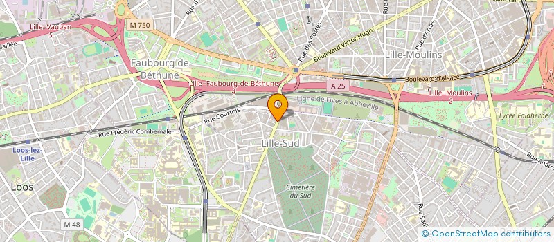localisation de l'entreprise FAST FOOD à LILLE