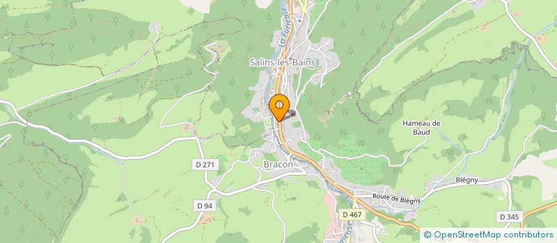 localisation de l'entreprise FAST FOOD LES DELICES DE SALINS  SALINS-LES-BAINS