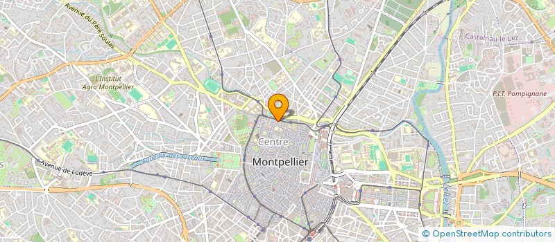 localisation de l'entreprise FAST GOOD FOOD  MONTPELLIER