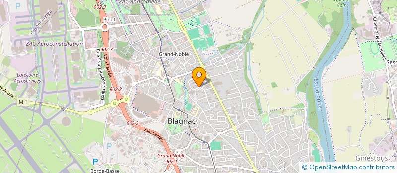 localisation de l'entreprise FAST SOLUTION LIVRAISONS  BLAGNAC