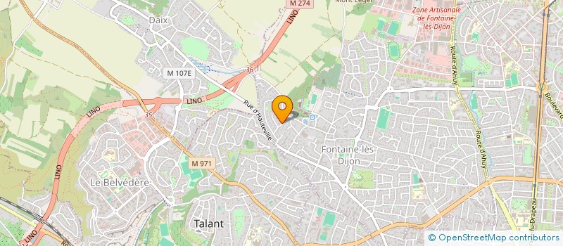 localisation de l'entreprise FAUNE CROWD  DIJON