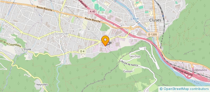 localisation de l'entreprise FAVIQUE FINANCES à SCIONZIER
