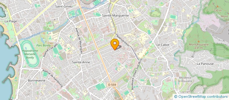 localisation de l'entreprise FDSS CONSEIL SASU  MARSEILLE