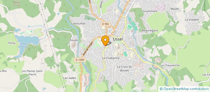 localisation de l'entreprise FEDER NATIONALE DES NEGOCIANTS VOYAGEURS  USSEL