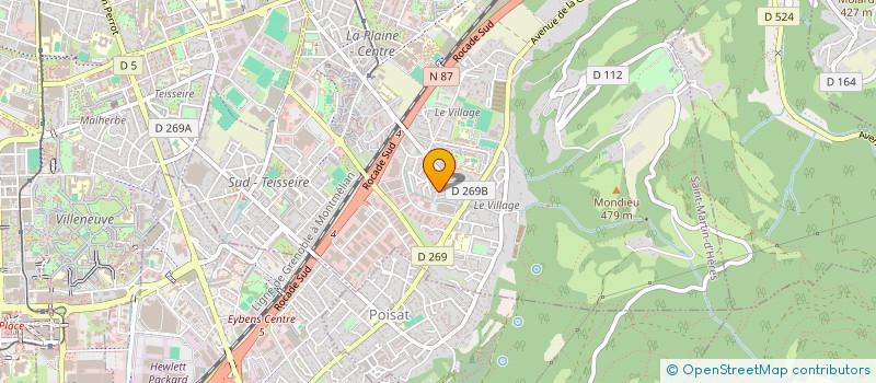 localisation de l'entreprise FEDERAT ARTS MARTIAUX BIRMANS DISCIP... à SAINT-MARTIN-D'HERES
