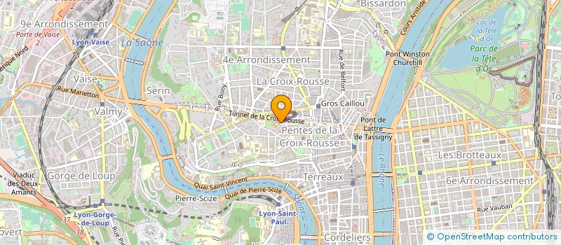 localisation de l'entreprise FEDERATION DES ARTS DE LA RUE AUVERGNE-RHONE-ALPES à LYON