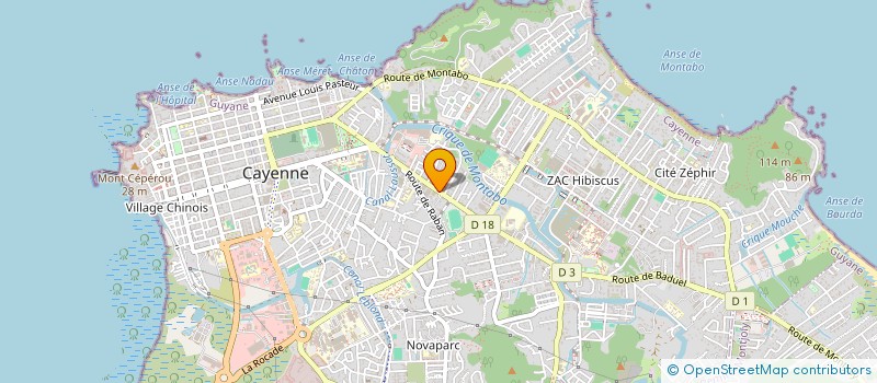 localisation de l'entreprise FEDERATION DES SOCIETES D'INGENIERIE DU BTP DE GUYANE  CAYENNE