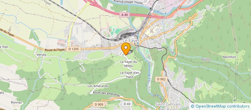 localisation de l'entreprise FEDERATION FRANCAISE DE LA MEDECINE TRADITIONNELLE TIBETAINE, DES YOGAS ET DE L'ENERGETIQUE TIBETAINS à SAINT-GERVAIS-LES-BAINS