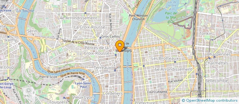 localisation de l'entreprise FEDERATION METHODE SUZUKI EN FRANCE à LYON
