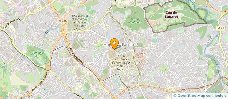 localisation de l'entreprise FEDERATION NATIONALE SPORT UNIVERSITAIR à MONTPELLIER