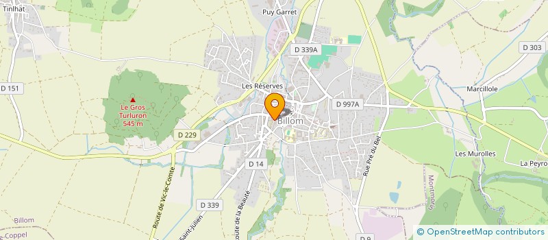 localisation de l'entreprise FEDERATION SPORTIVE EDUCATIVE DE L'ENSEIGNEMENT CATHOLIQUE TERRITOIRE AUVERGNE  BILLOM