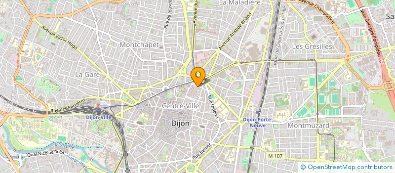 localisation de l'entreprise FEELING BLACK INTERNATIONAL PRODUCTION  DIJON