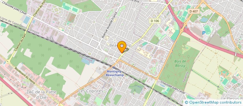 localisation de l'entreprise FEELING DOG S  CORMEILLES-EN-PARISIS