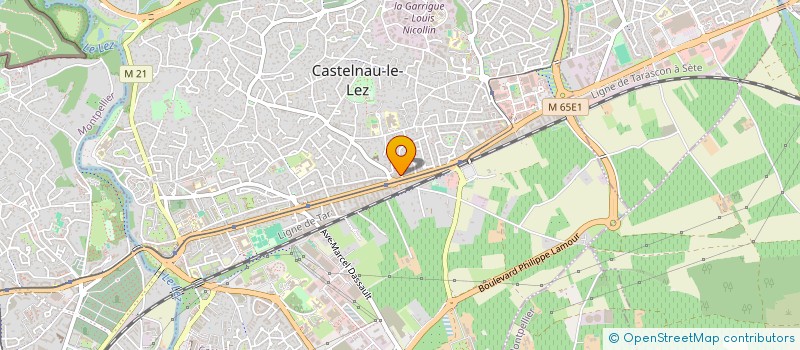 localisation de l'entreprise FEELING TAXI à CASTELNAU-LE-LEZ