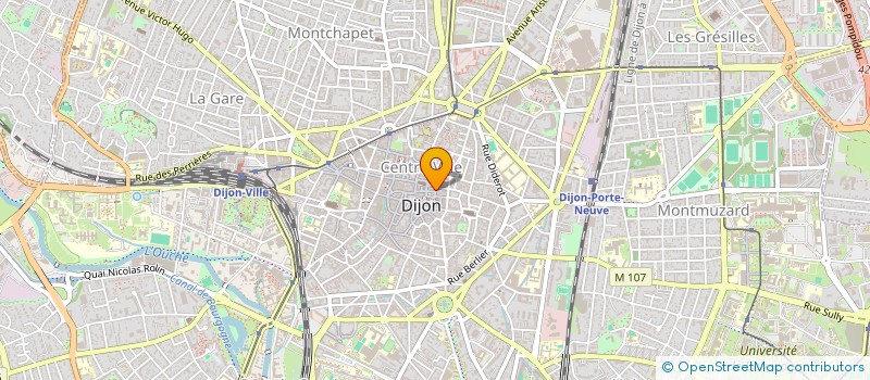 localisation de l'entreprise FEES DE FILS à DIJON