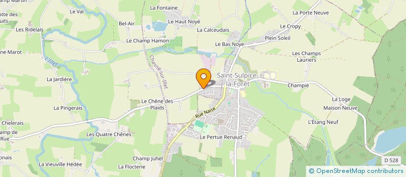 localisation de l'entreprise FEES DES COULEURS  CHASNE-SUR-ILLET