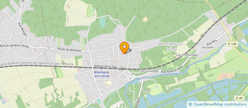 localisation de l'entreprise FELICE LA PETITE ECOLE MONTESSORI BILINGUE  MONTIGNY-SUR-LOING